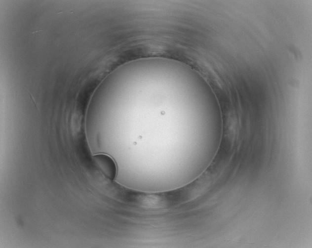 X0000115840230200911271227