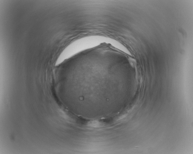 X0000115840231200911271227