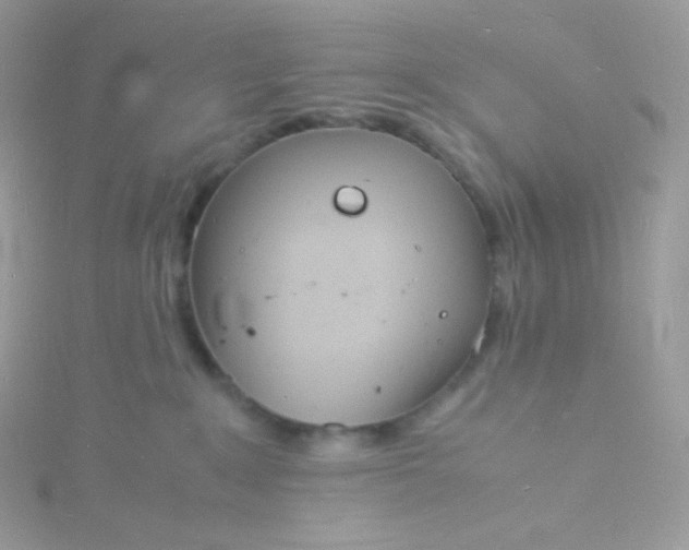 X0000115840235200911271227