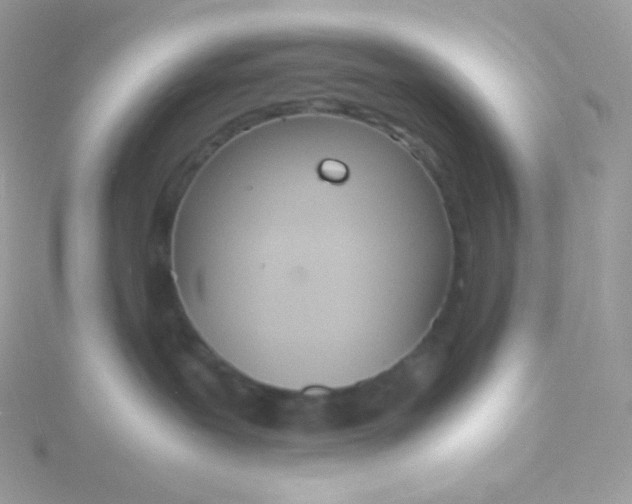 X0000115840239200911271227