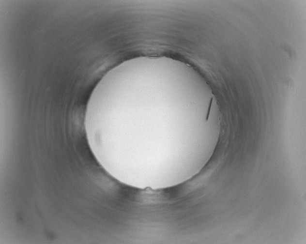 X0000115840240200911271227