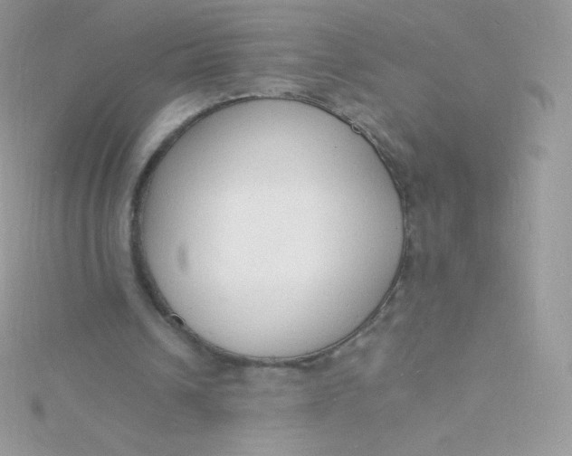 X0000115840242200911271227