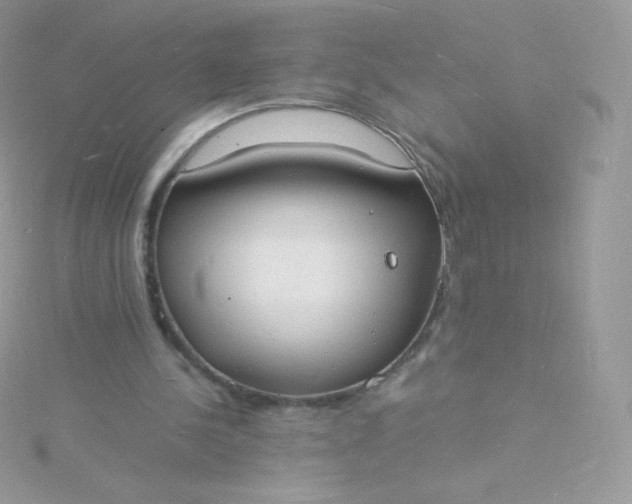 X0000115840244200911271227