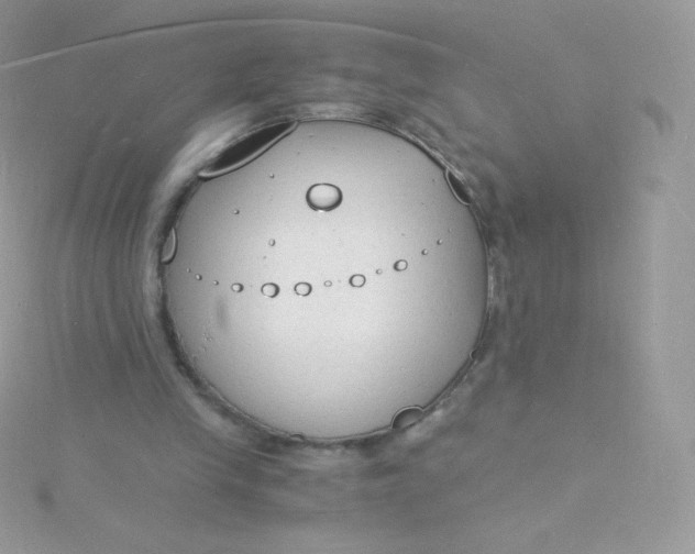 X0000115840245200911271227