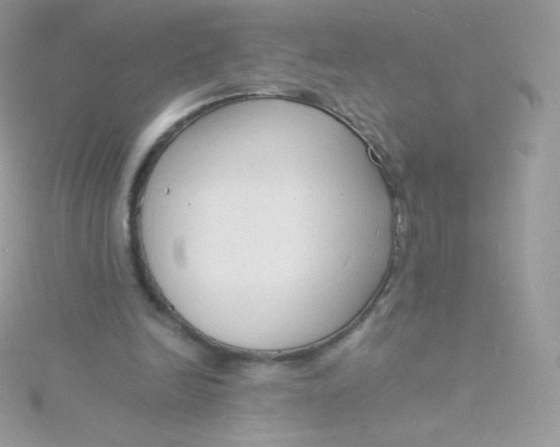 X0000115840246200911271227