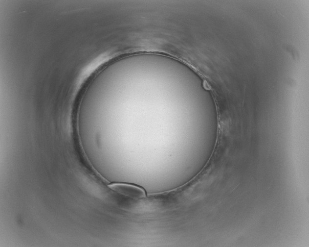 X0000115840248200911271227