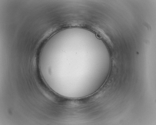 X0000115840250200911271227