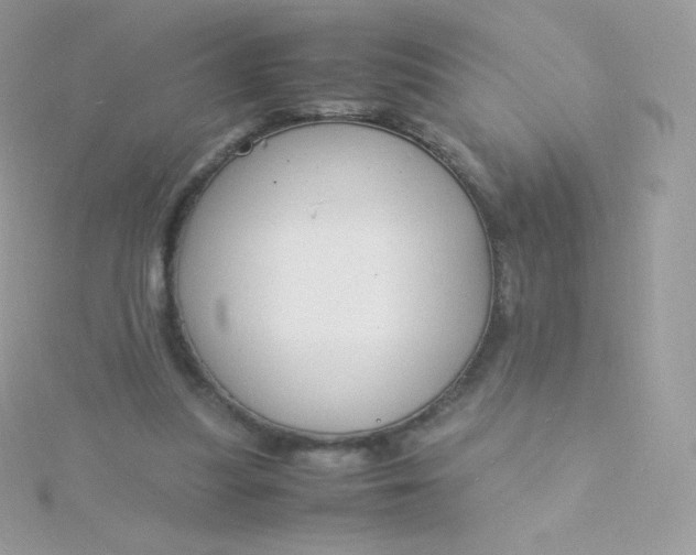 X0000115840251200911271227