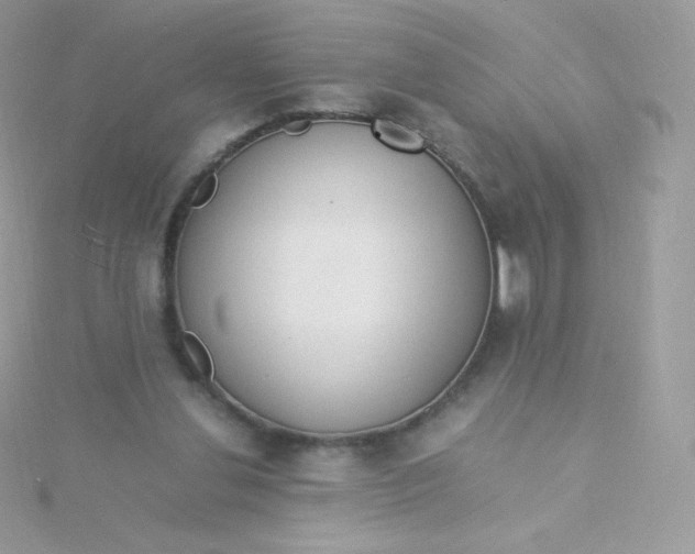 X0000115840252200911271227