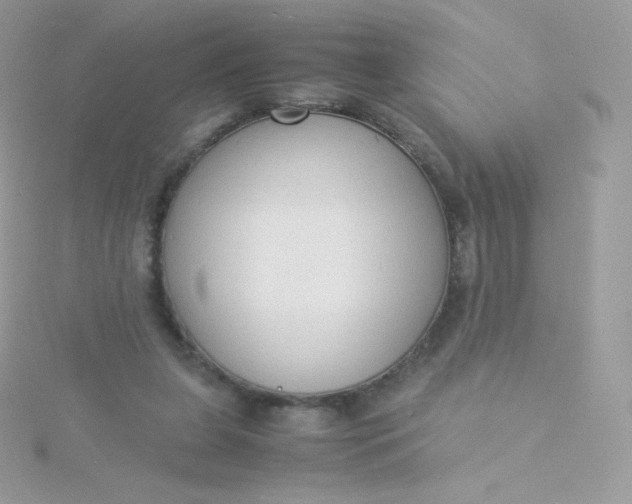 X0000115840255200911271227