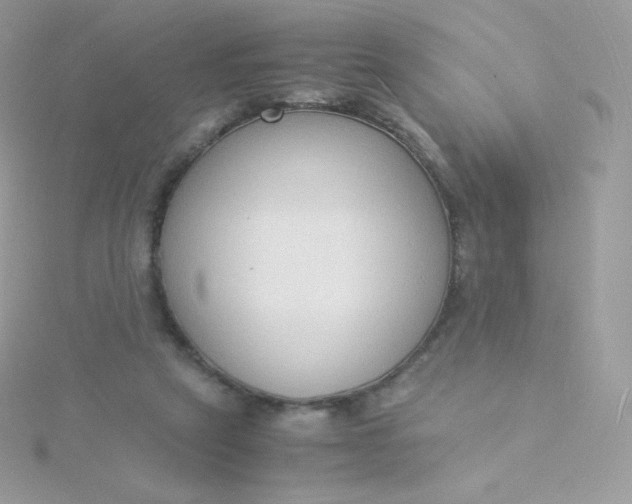 X0000115840257200911271227