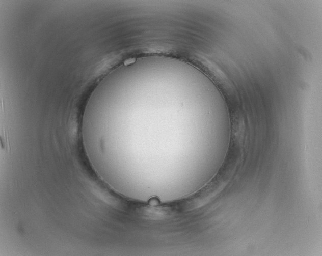 X0000115840261200911271227