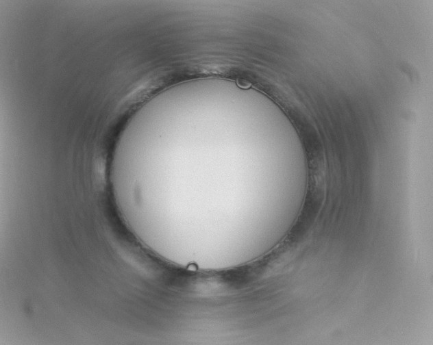 X0000115840262200911271227