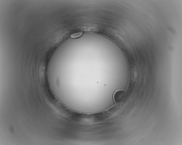 X0000115840263200911271227