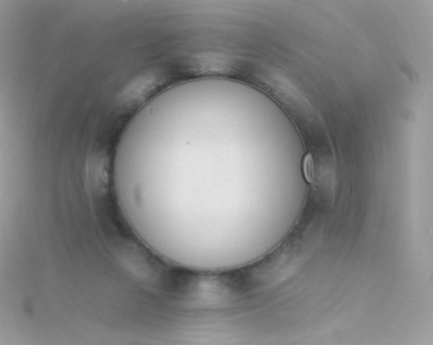 X0000115840264200911271227