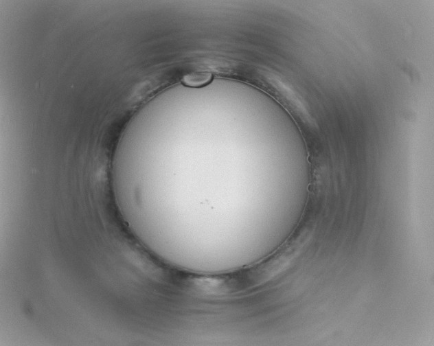 X0000115840265200911271227