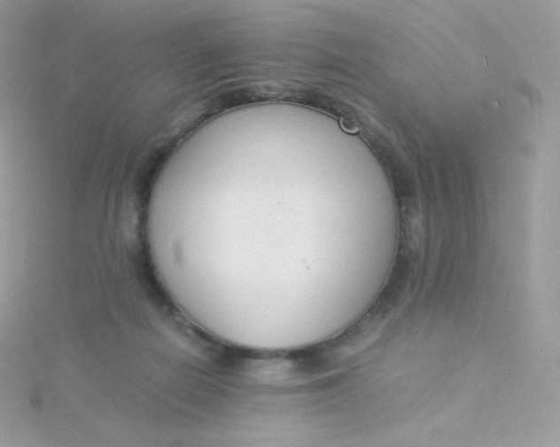 X0000115840266200911271227