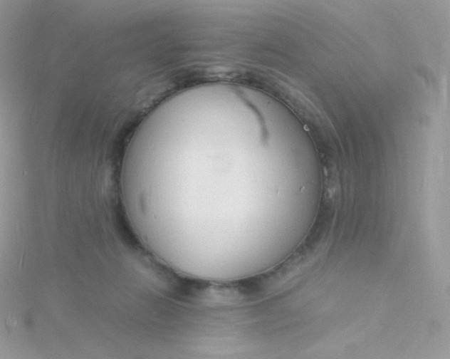 X0000115840270200911271227