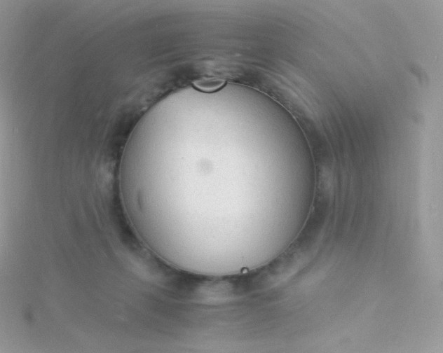 X0000115840271200911271227