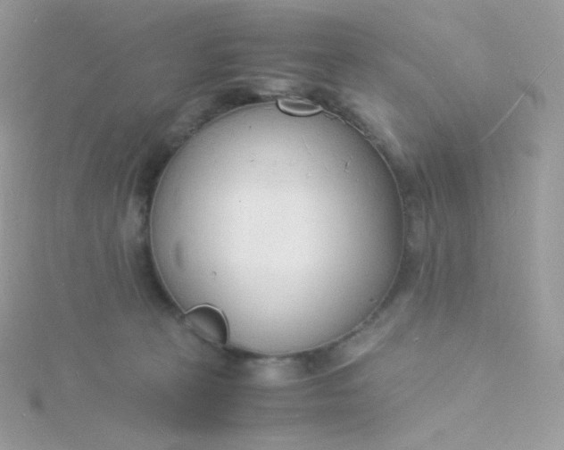 X0000115840273200911271227