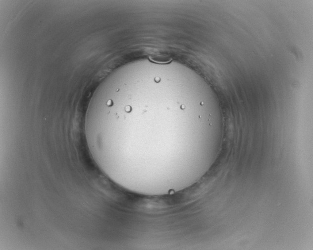 X0000115840275200911271227