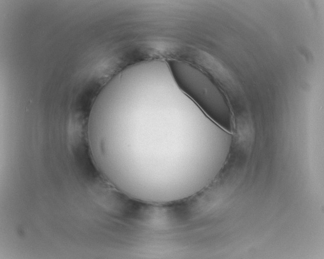 X0000115840276200911271227