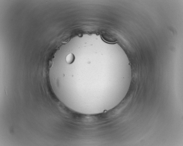 X0000115840277200911271227