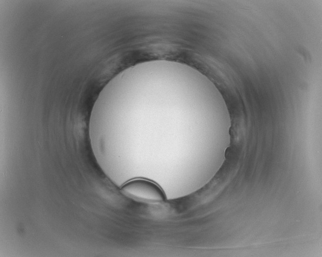 X0000115840279200911271227