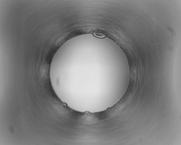 X0000115840280200911271227