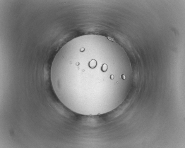 X0000115840282200911271227