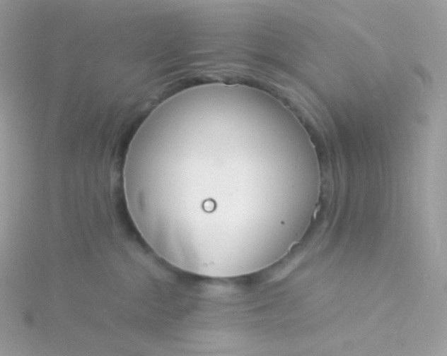 X0000115840284200911271227