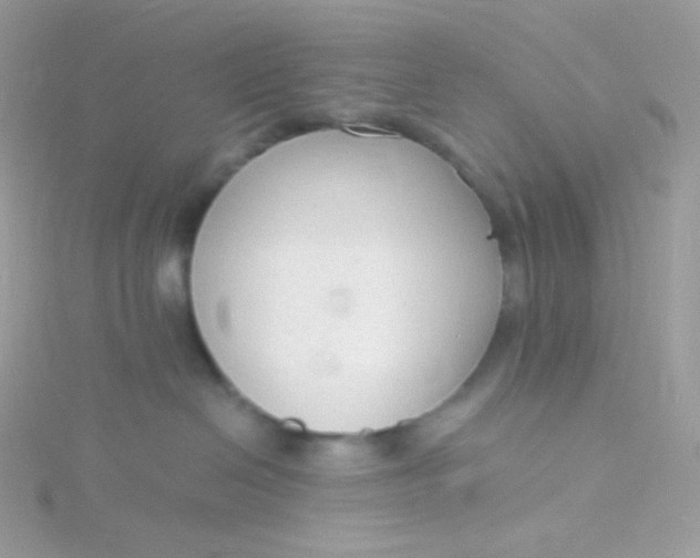 X0000115840286200911271227