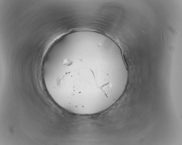 X0000115840289200911271226