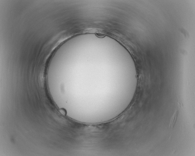 X0000115840290200911271226