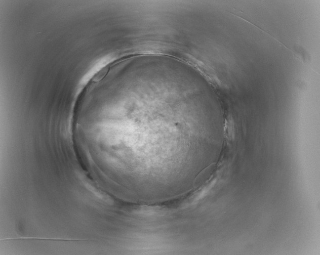 X0000115840292200911271226