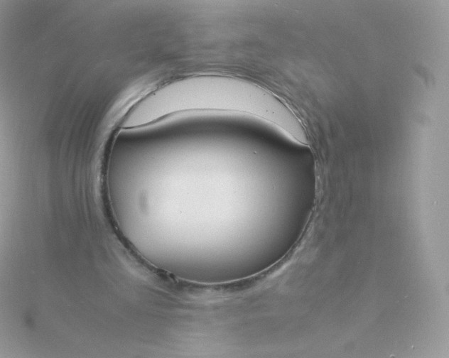 X0000115840293200911271226