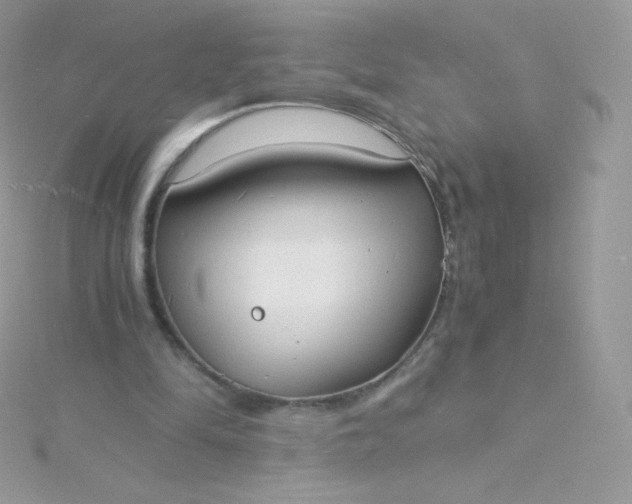 X0000115840294200911271226