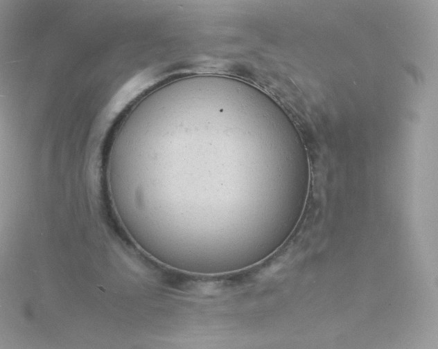 X0000115840295200911271226