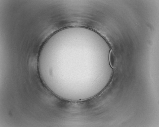 X0000115840297200911271226