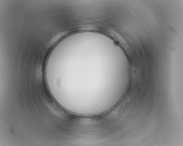 X0000115840298200911271226