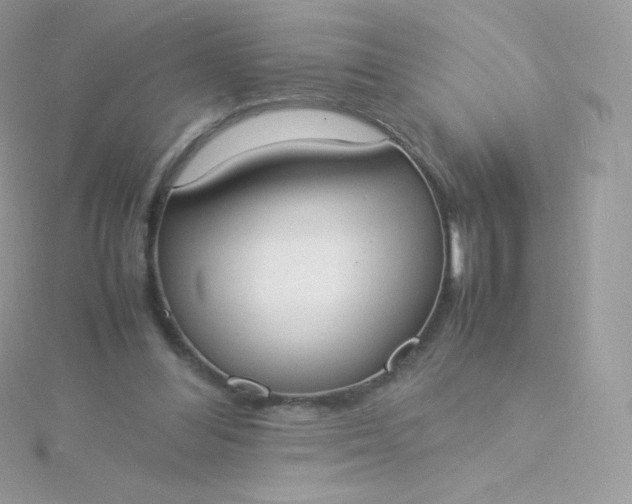 X0000115840300200911271226