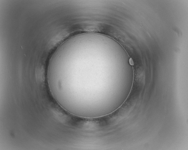 X0000115840303200911271226