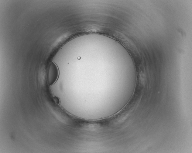 X0000115840304200911271226