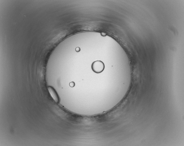 X0000115840305200911271226