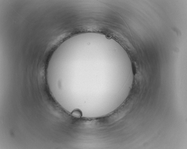 X0000115840306200911271226