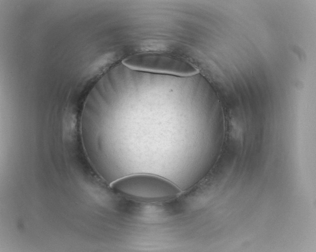 X0000115840308200911271226