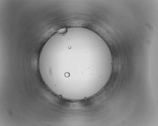 X0000115840309200911271226