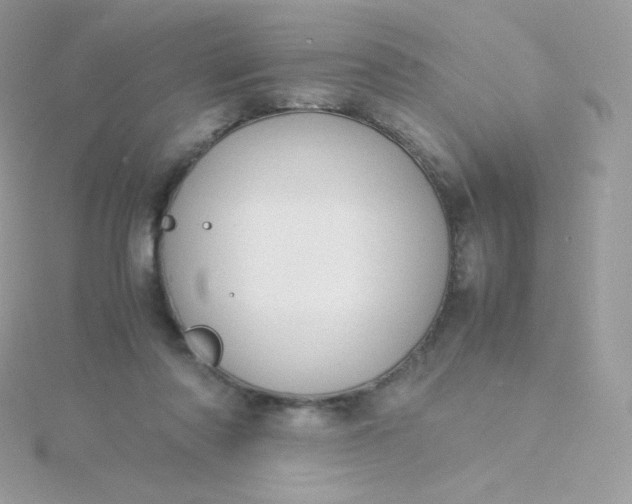 X0000115840310200911271226