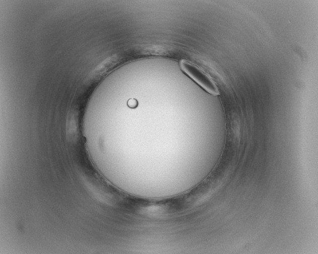 X0000115840312200911271226