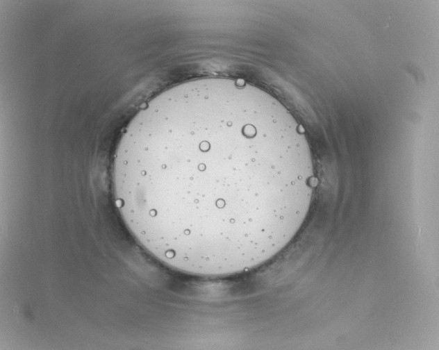 X0000115840313200911271226